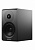 Dynaudio Emit 10 (Black satin)