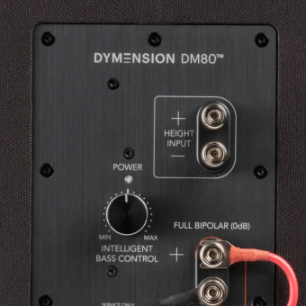 Definitive Technology Dymension DM80 (black) 