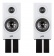 Polk Audio  Reserve R100 (white)