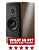 Dynaudio Contour 20i (Walnut wood)