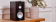 Monitor Audio Gold 100 6G (Macassar)
