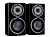Monitor Audio Platinum 100 3G (Piano Black)
